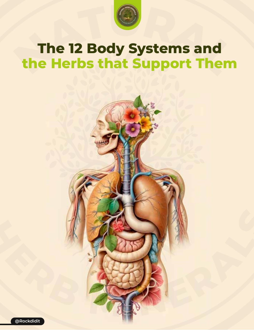 12 Body Systems Guide